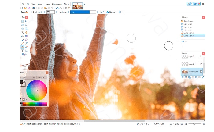 paint-net