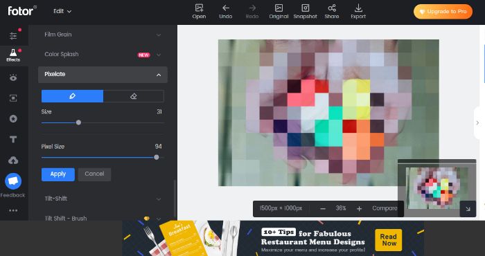 FotorMosaic